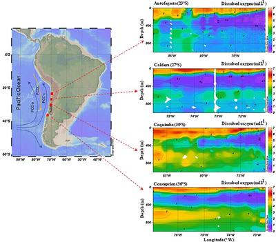 Oxidative conditions along the continental shelf of the Southeast Pacific during the last two millennia: a multiproxy interpretation of the oxygen minimum zone variability from sedimentary records